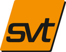 Logo svt Brandsanierung GmbH in Berlin